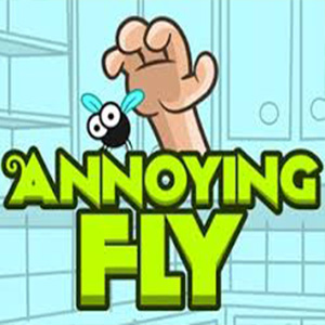 Annoying Fly